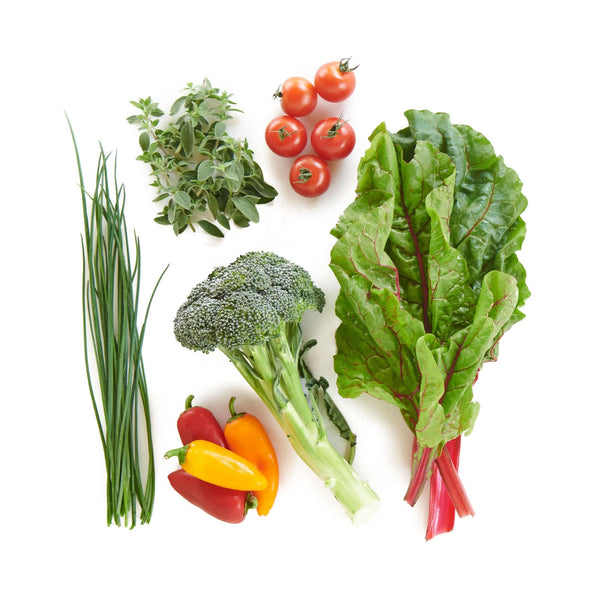 12-Plant Matt James Harvest Plan - Lettuce Grow