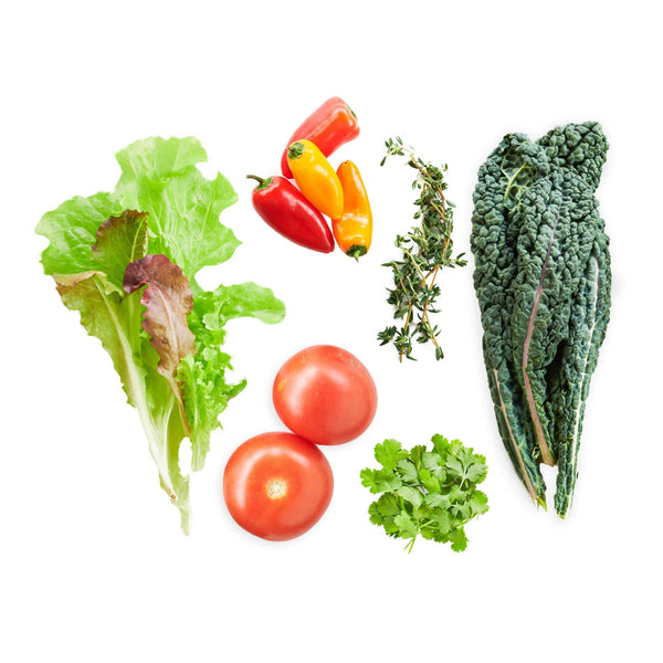 12-Plant Chipotle Harvest Bundle - Lettuce Grow