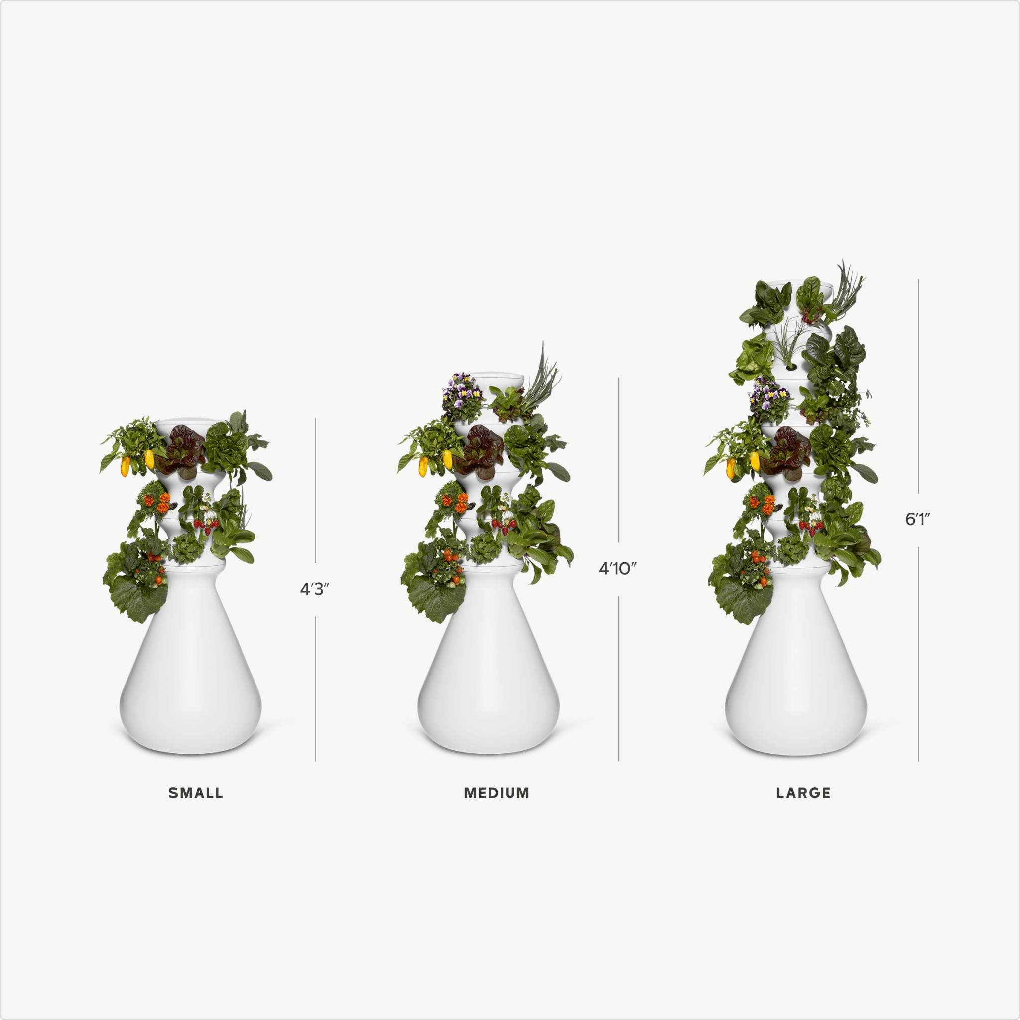 Original Farmstand - Lettuce Grow