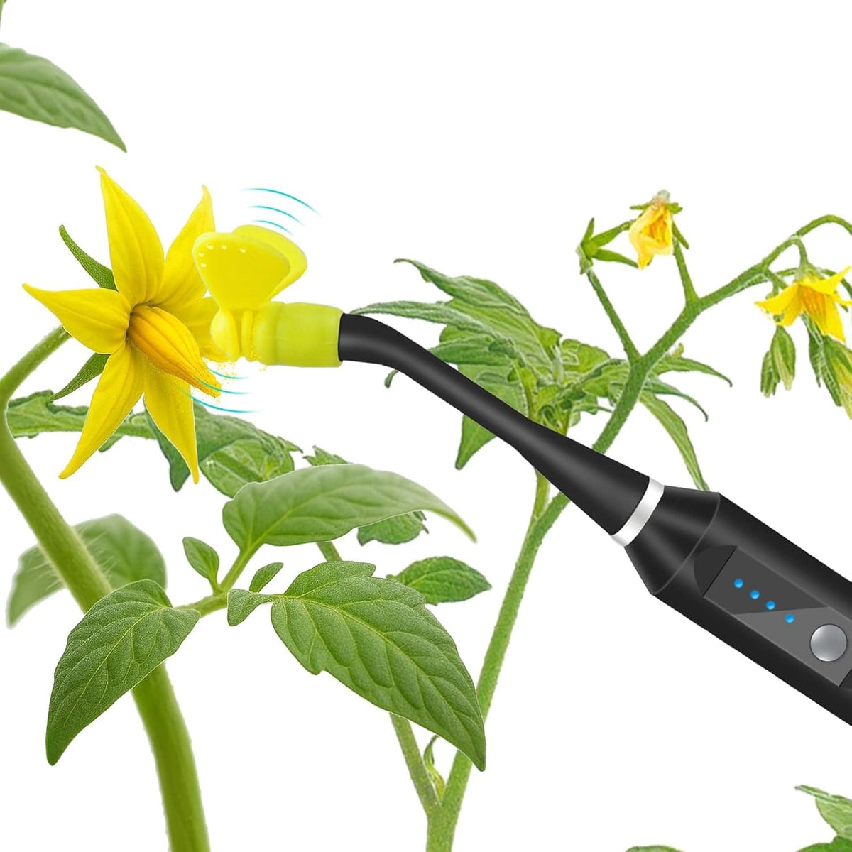 Pollination Tool - Lettuce Grow