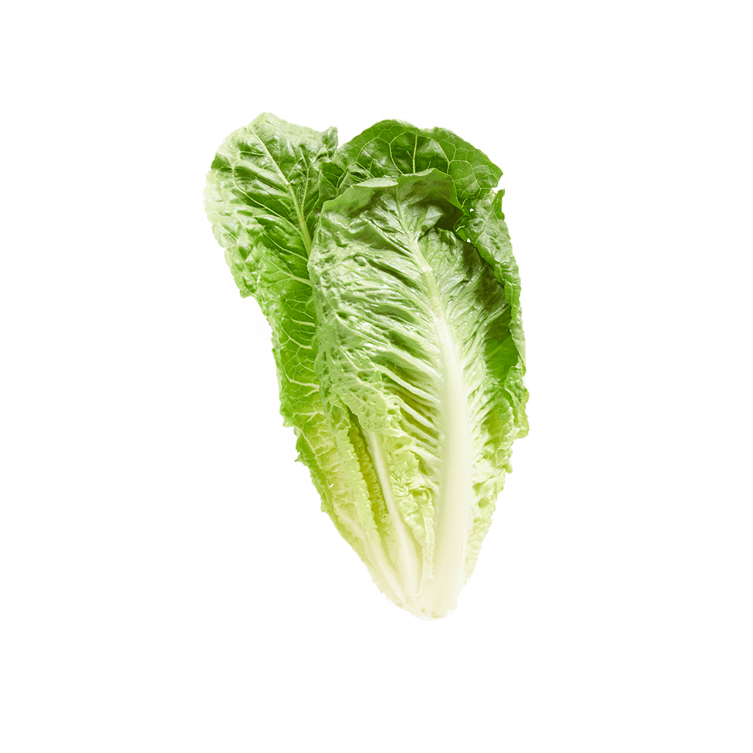 Romaine