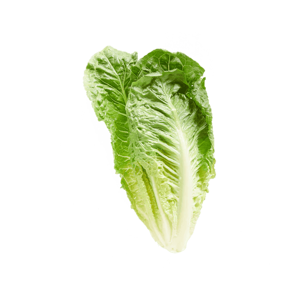 Romaine π¬π§
