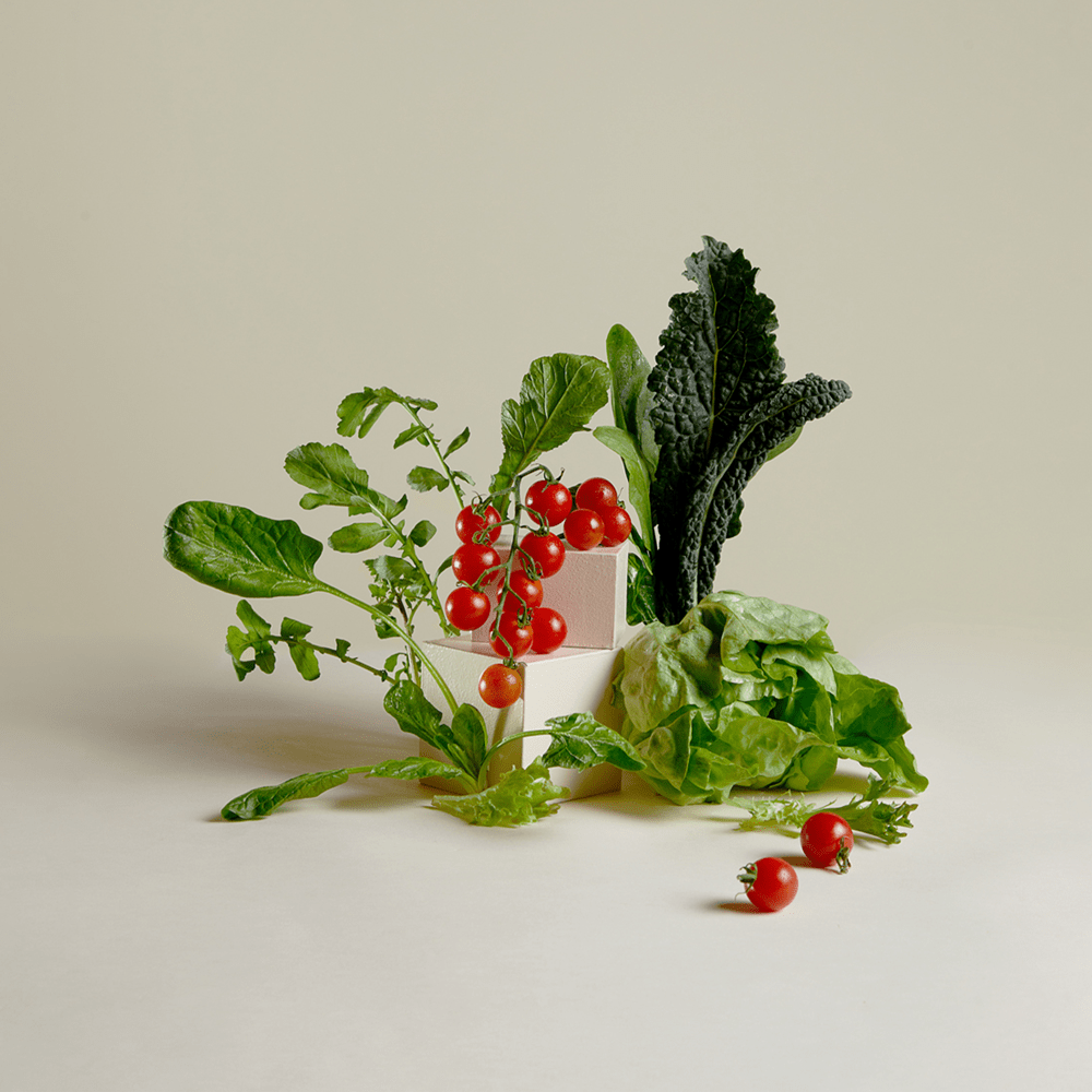12-Plant Salad Lovers' Bundle