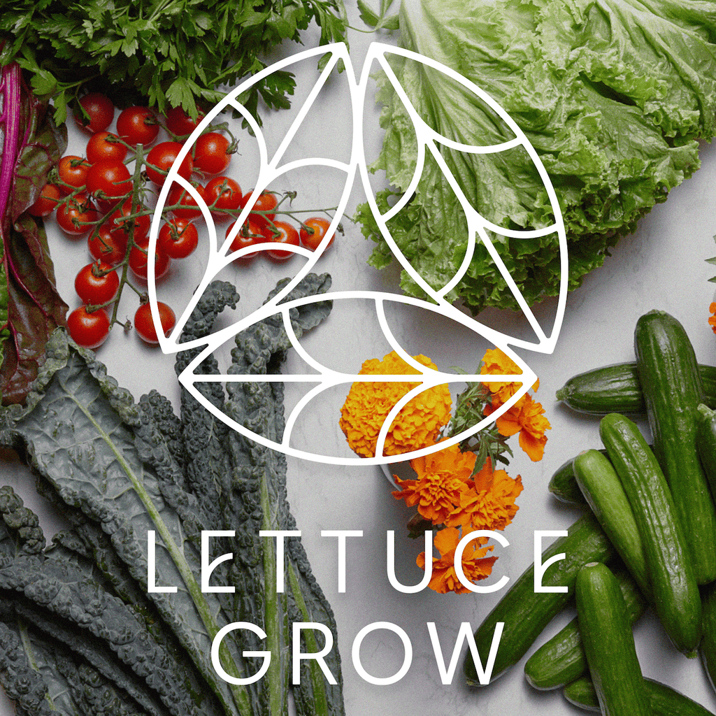 Lettuce Grow – Farmstand and Seedlings