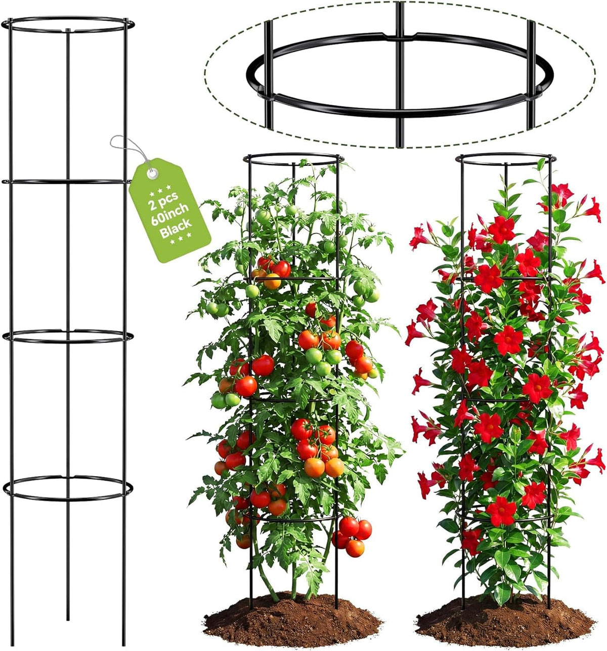 60" Round Tomato Cages — 2 Pack - Lettuce Grow