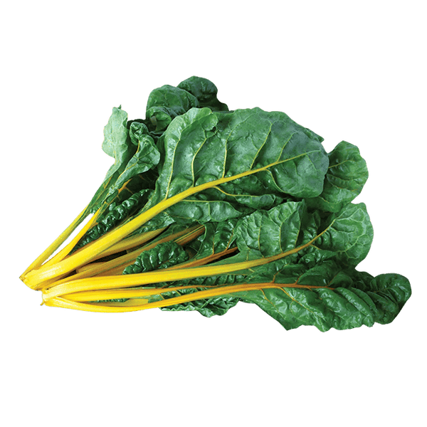 Yellow Chard π¬π§ - Lettuce Grow