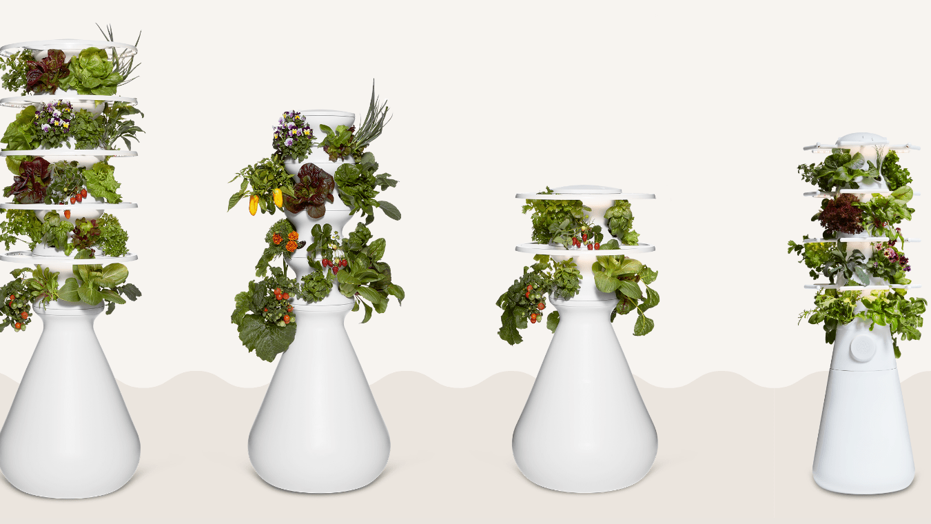 How To Choose The Farmstand That’s Right for You - Lettuce Grow