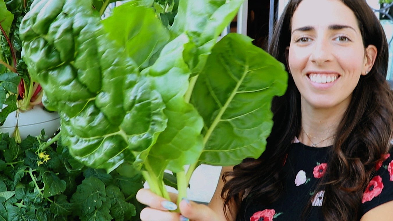 The Farmstand in Real Life! - Lettuce Grow