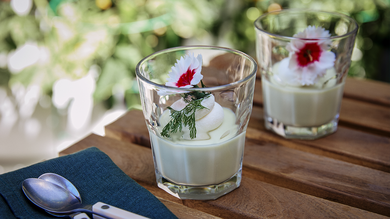 Valerie's Cilantro Pana Cotta - Lettuce Grow