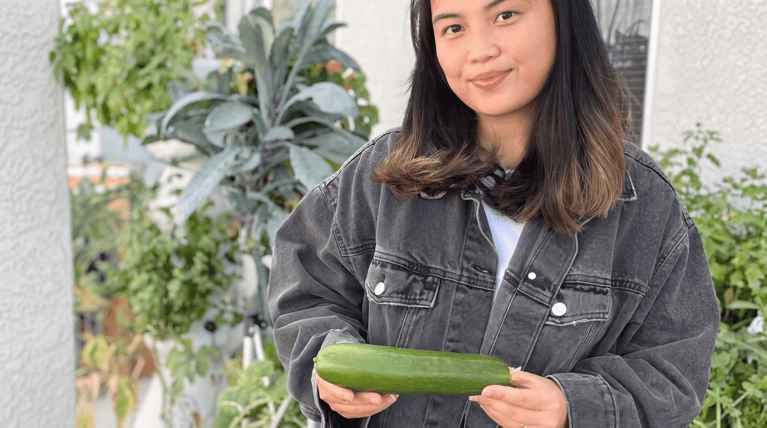 Q&A: Everyday Meals, Grown at Home - Lettuce Grow