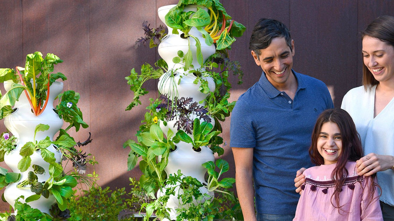What in the World Is a Distributed Farm? - Lettuce Grow