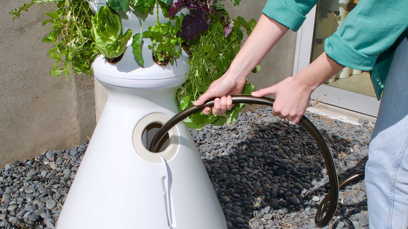 Hydroponics & How It's Going to Rock Your World - Lettuce Grow