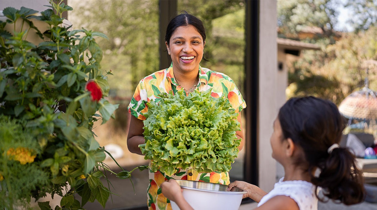 Q&A: Sweets, Spice, and Everything Homegrown - Lettuce Grow