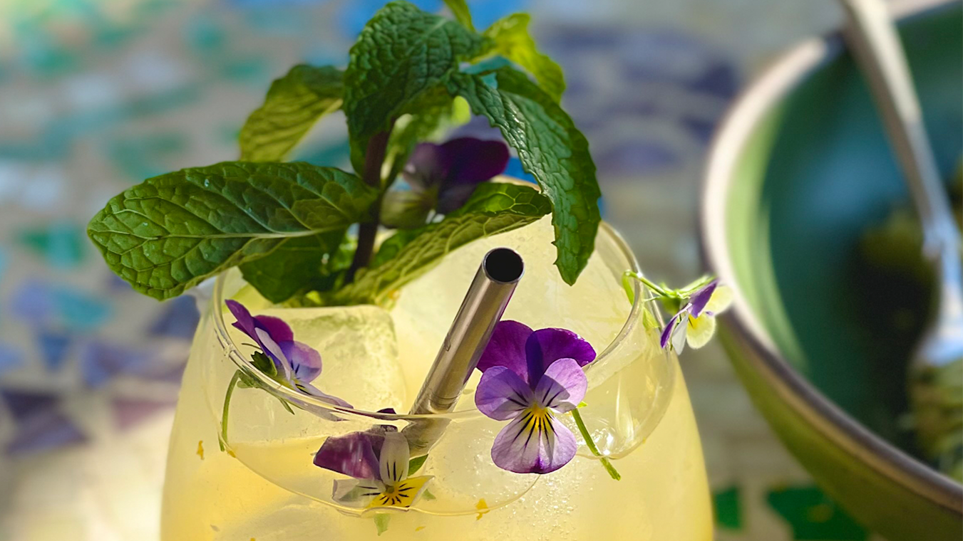Nico's Minty Meyer Lemonade - Lettuce Grow