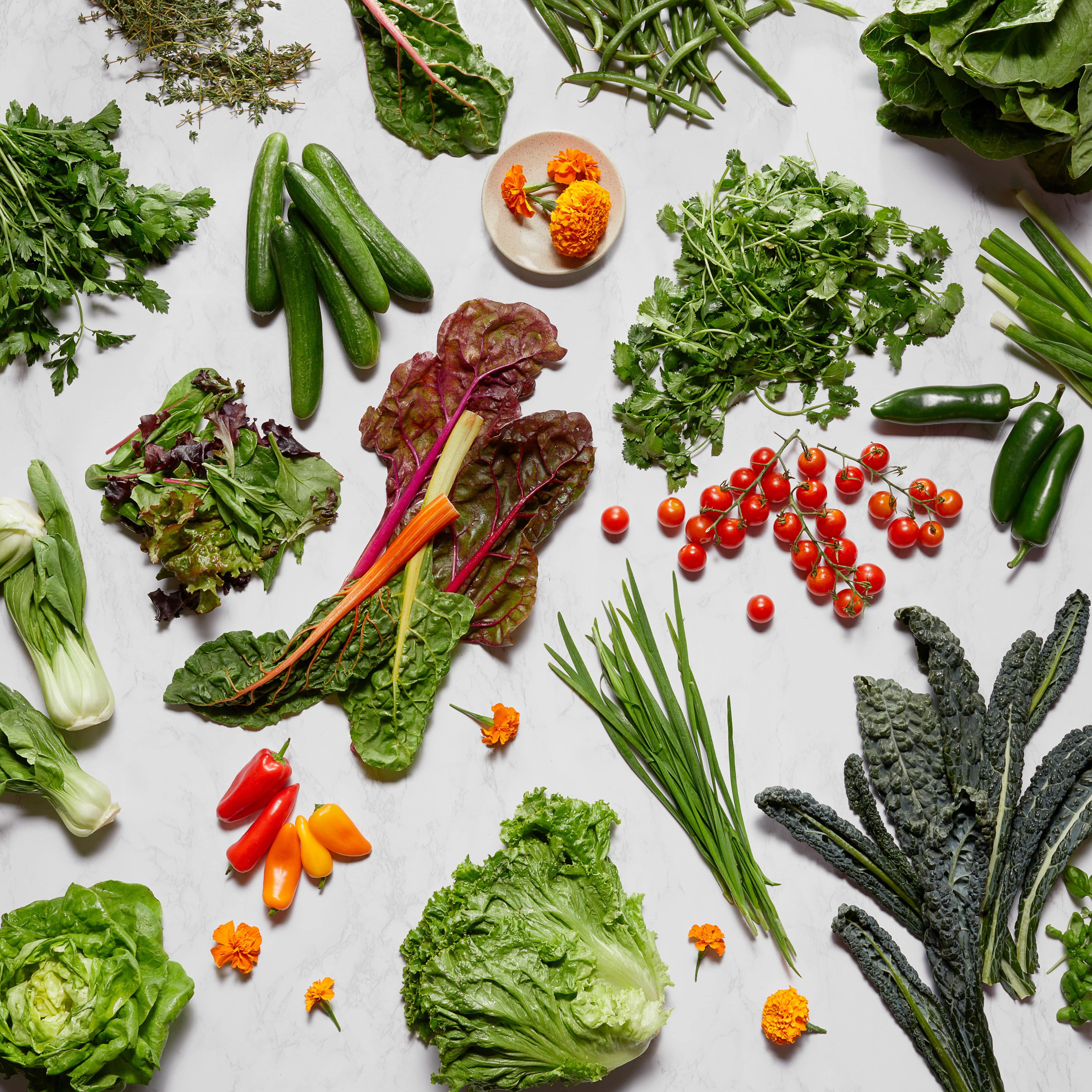 Outdoor Starter Seedlings Bundle (24-Pack)