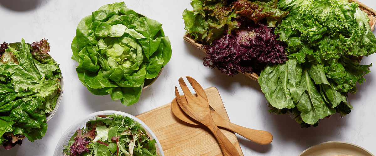 Easy to Grow - Lettuce Grow