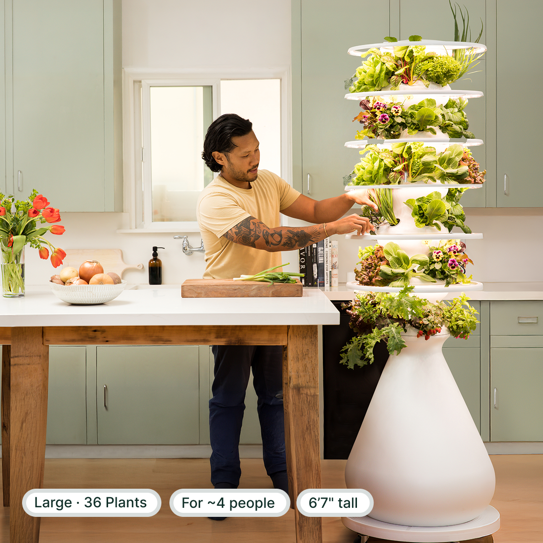 #large+indoor