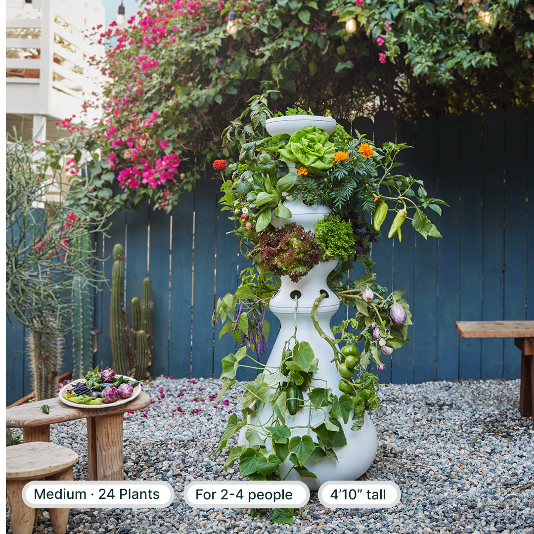 #medium+outdoor