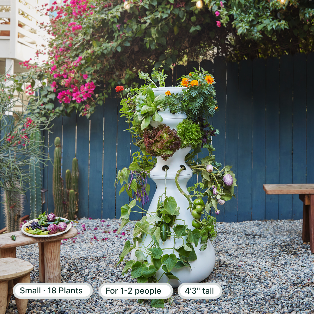 #small+outdoor