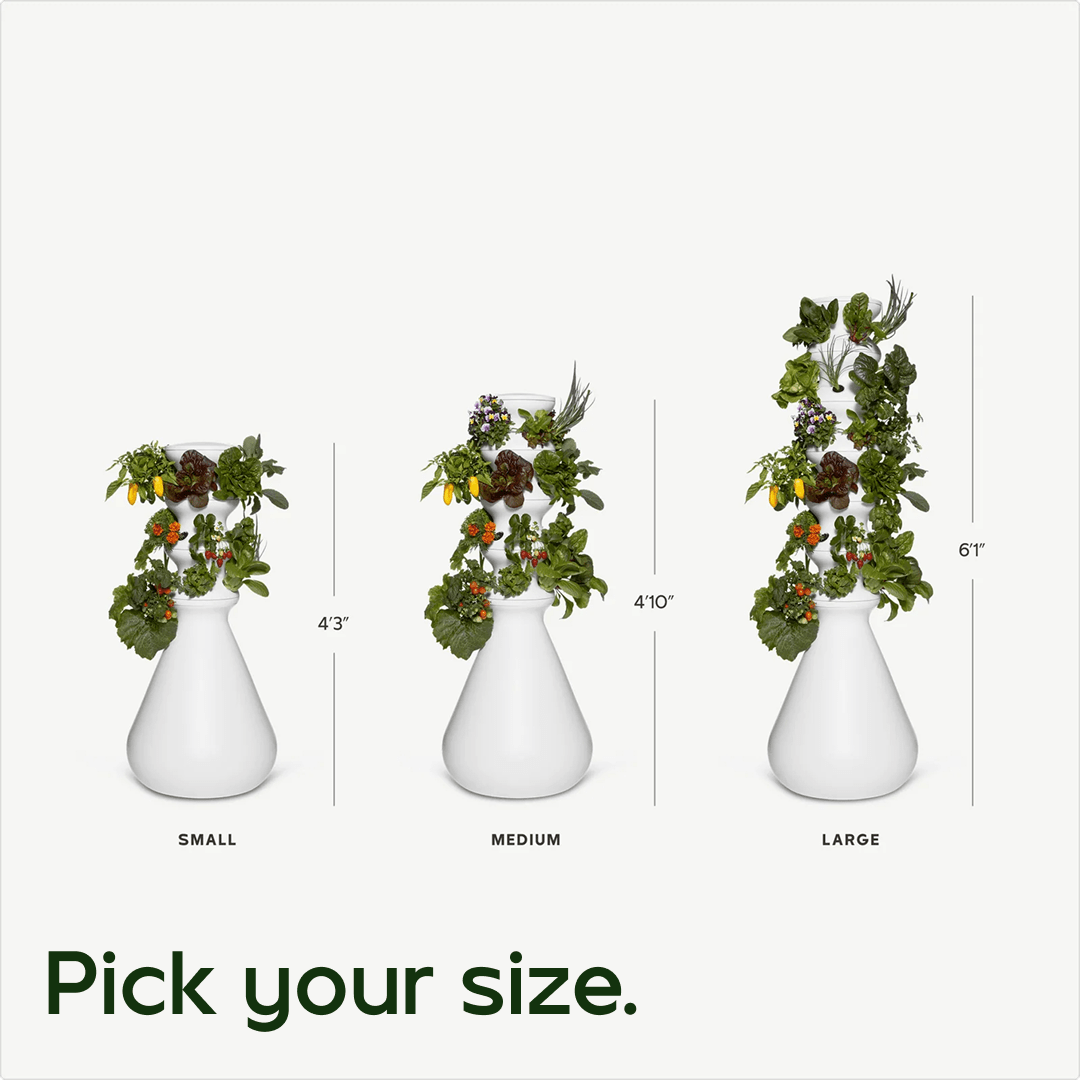 Original Farmstand - Lettuce Grow #outdoor