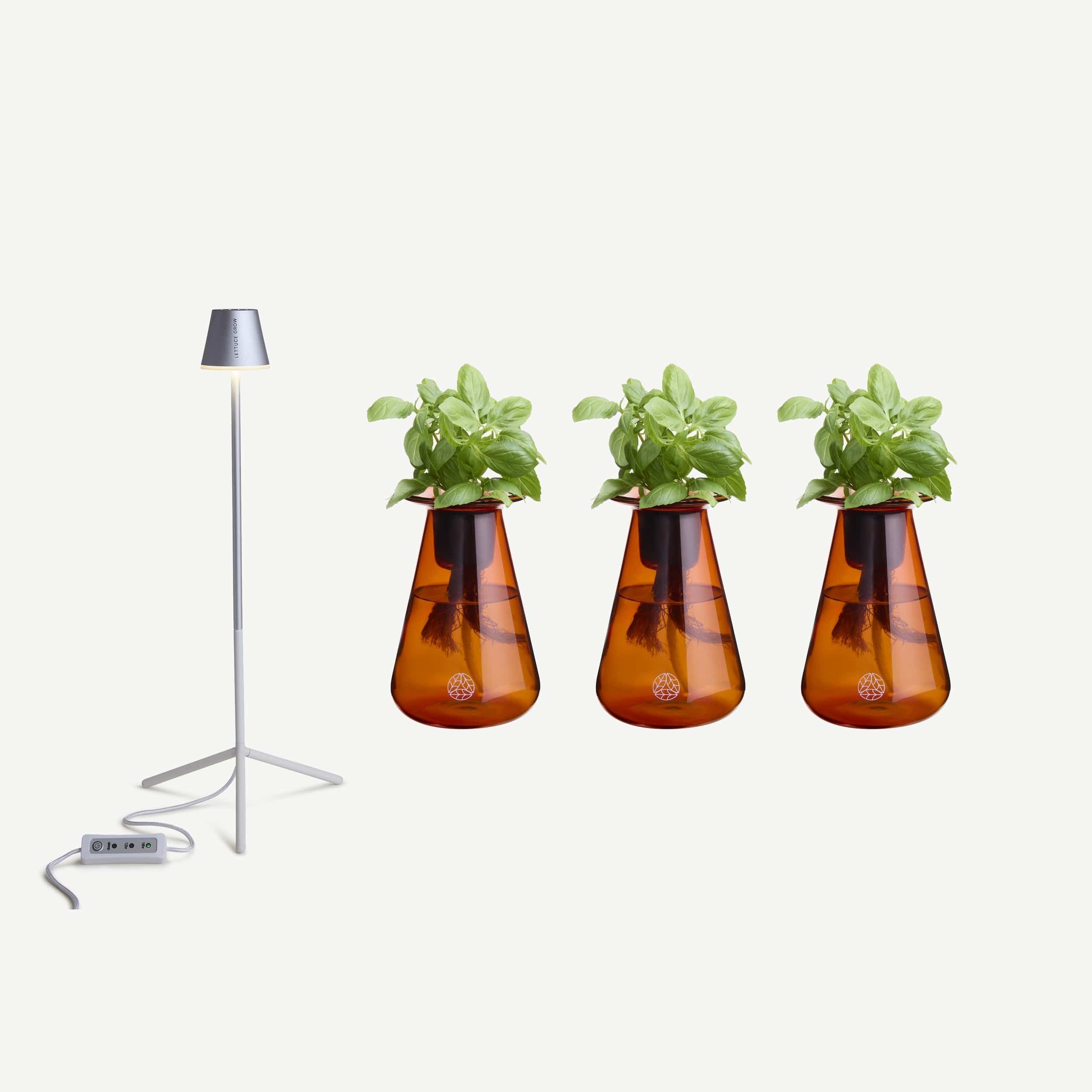 Counterstand Set