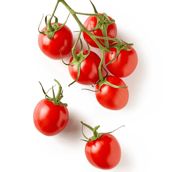 Dwarf Cherry Tomato