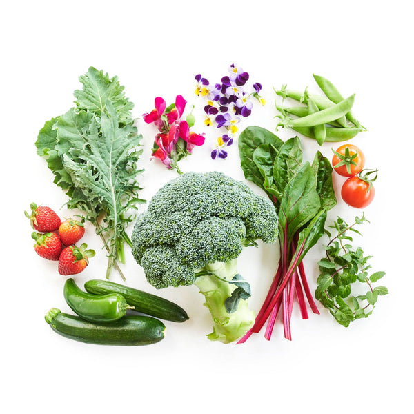 12-Plant Zooey's Bundle - Lettuce Grow