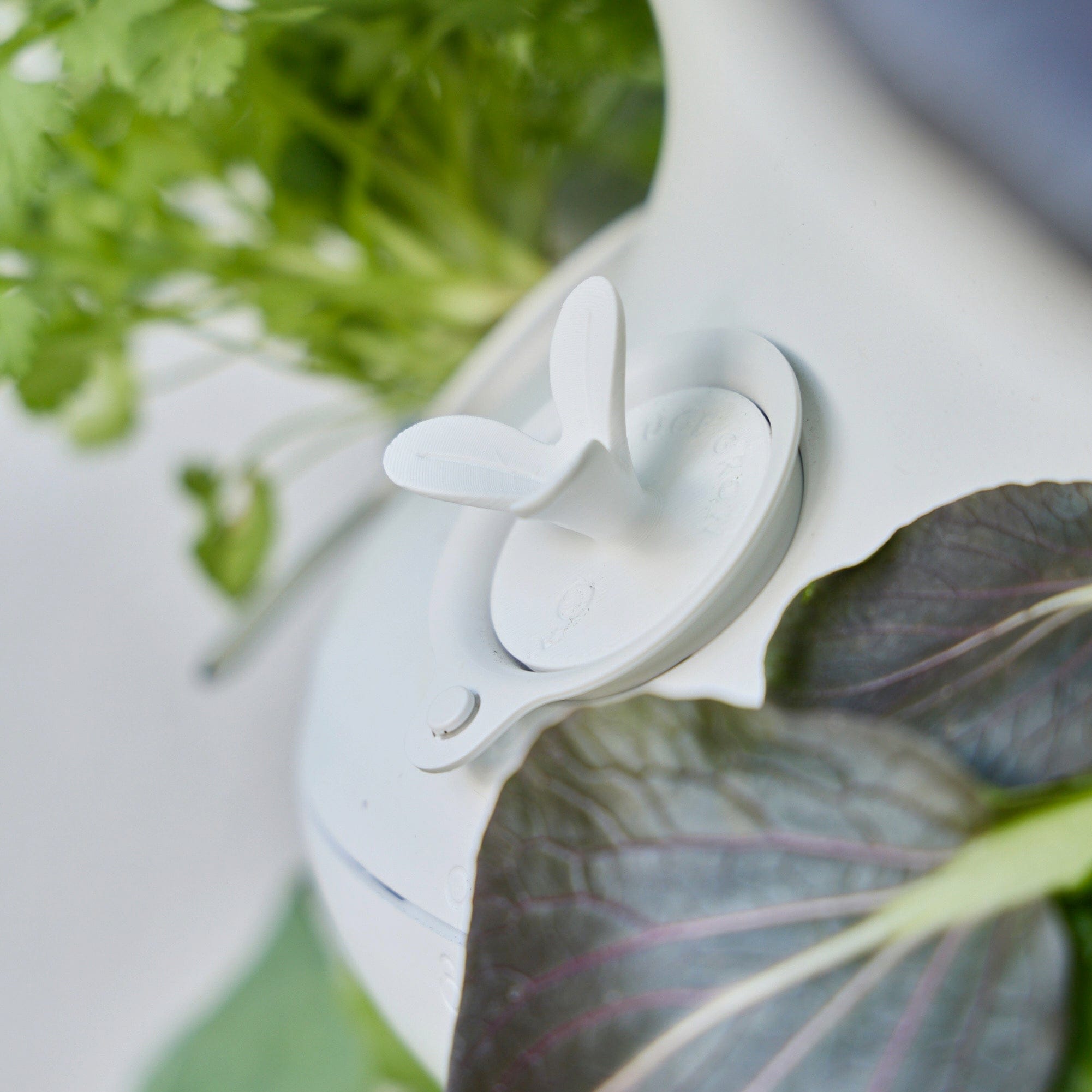 Plant Corks (6-Pack)