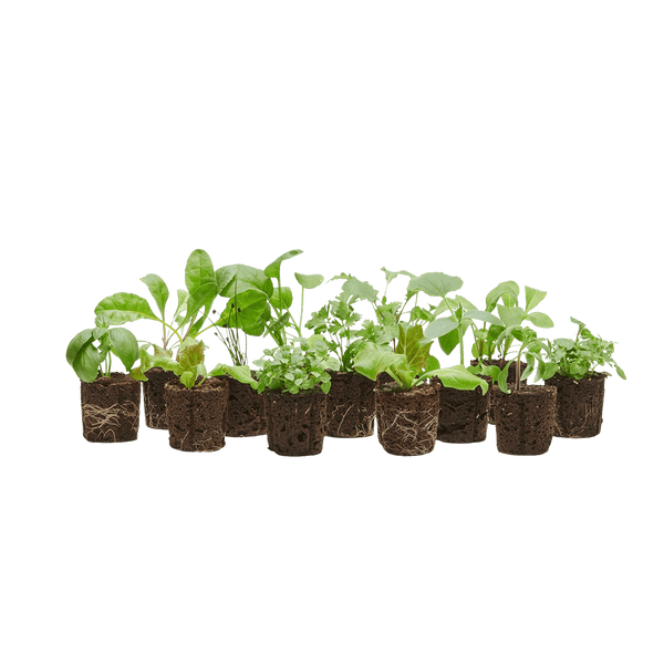 Grow Pack (80 Credits)