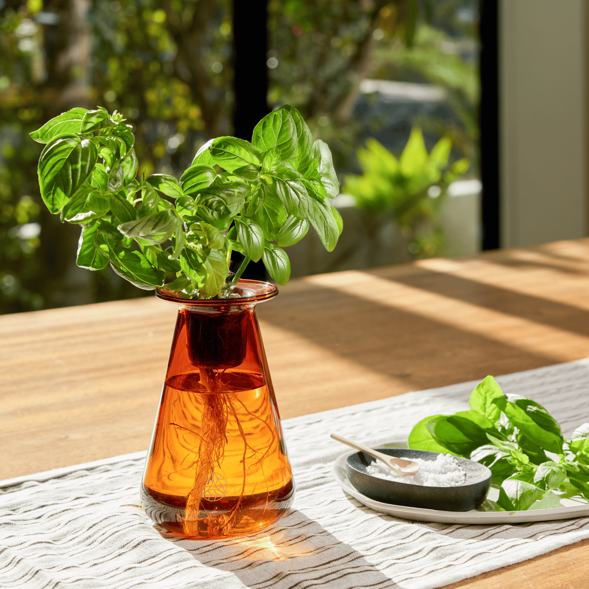 Single Counterstand - Lettuce Grow