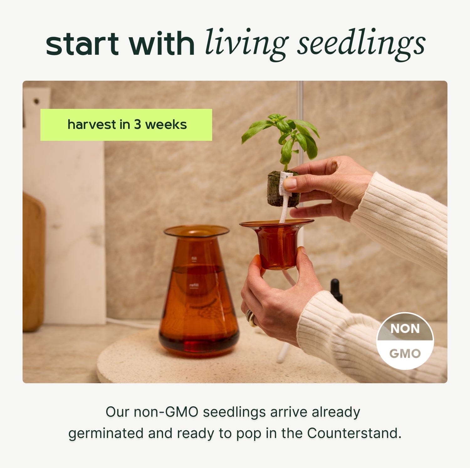 Counterstand Set