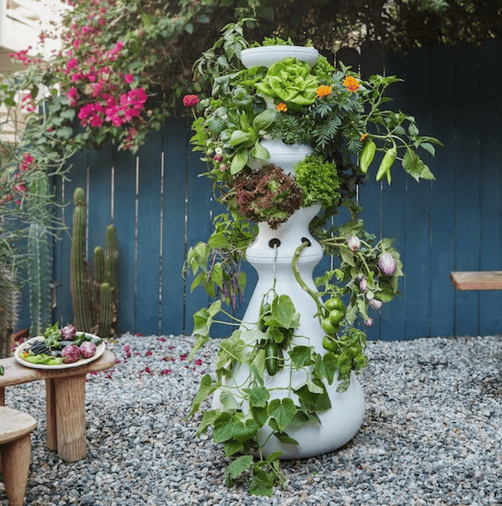 Original Farmstand - Lettuce Grow