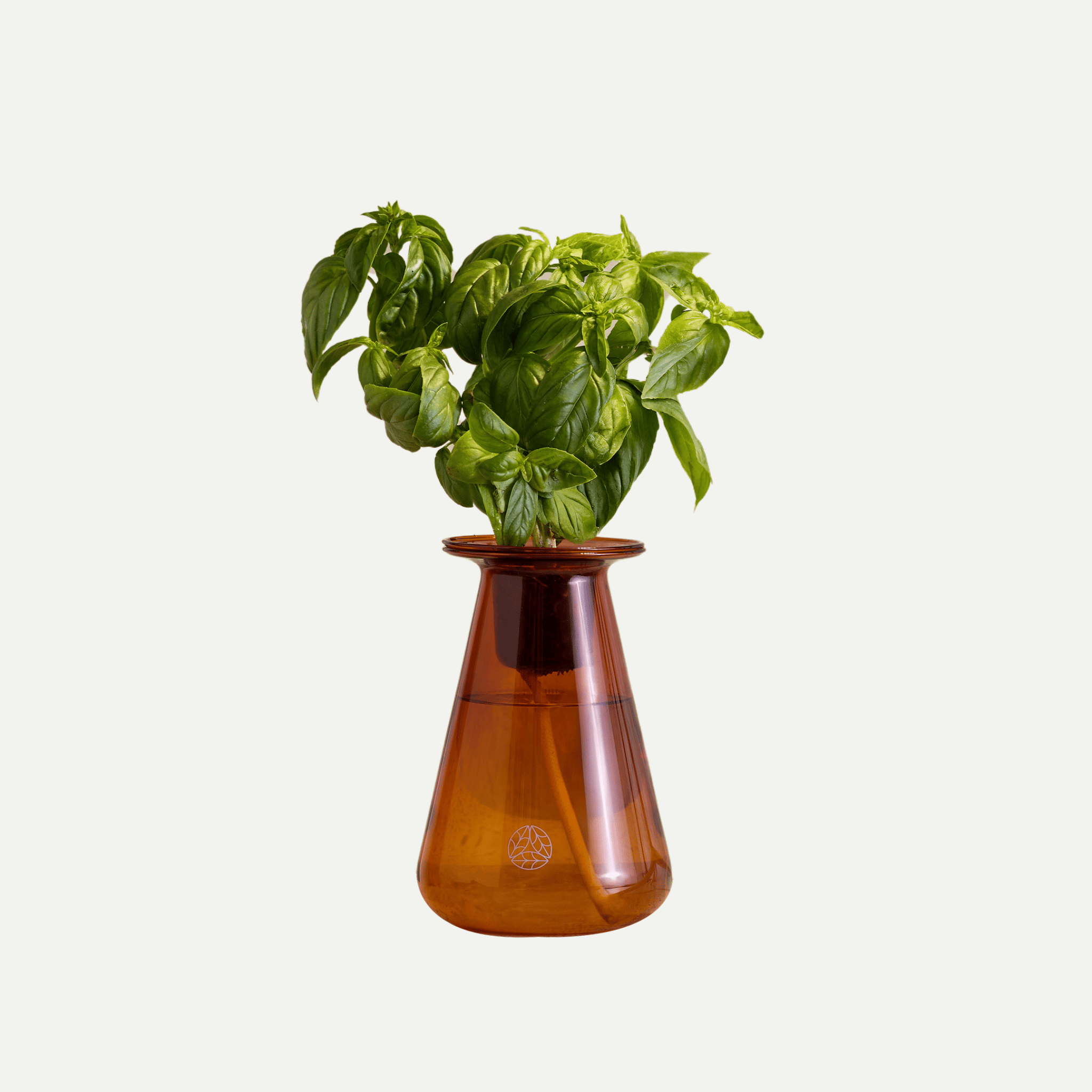 Single Counterstand - Lettuce Grow