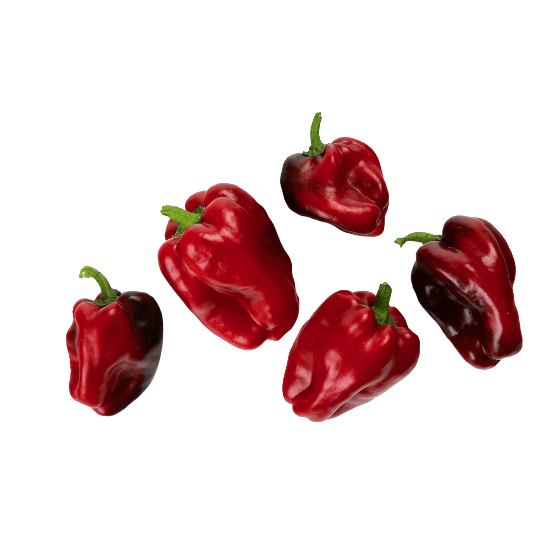 Red Mini Peper Mini Red Bell Pepper