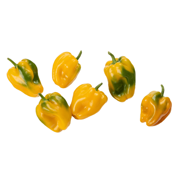Yellow Bell Pepper