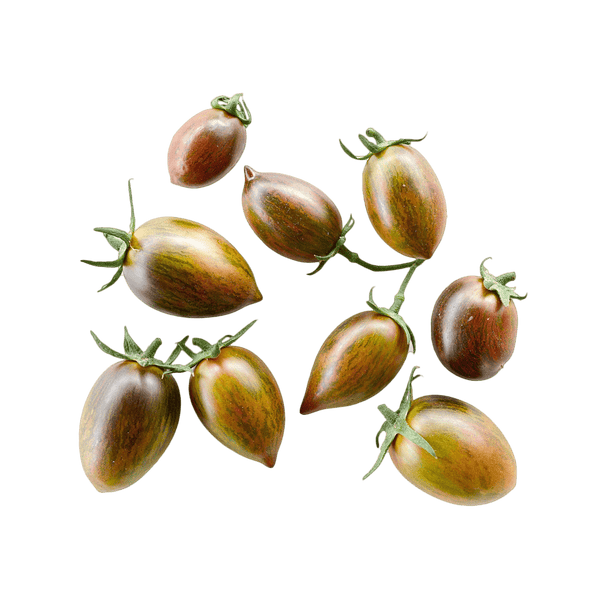 Indigo Cherry Tomato