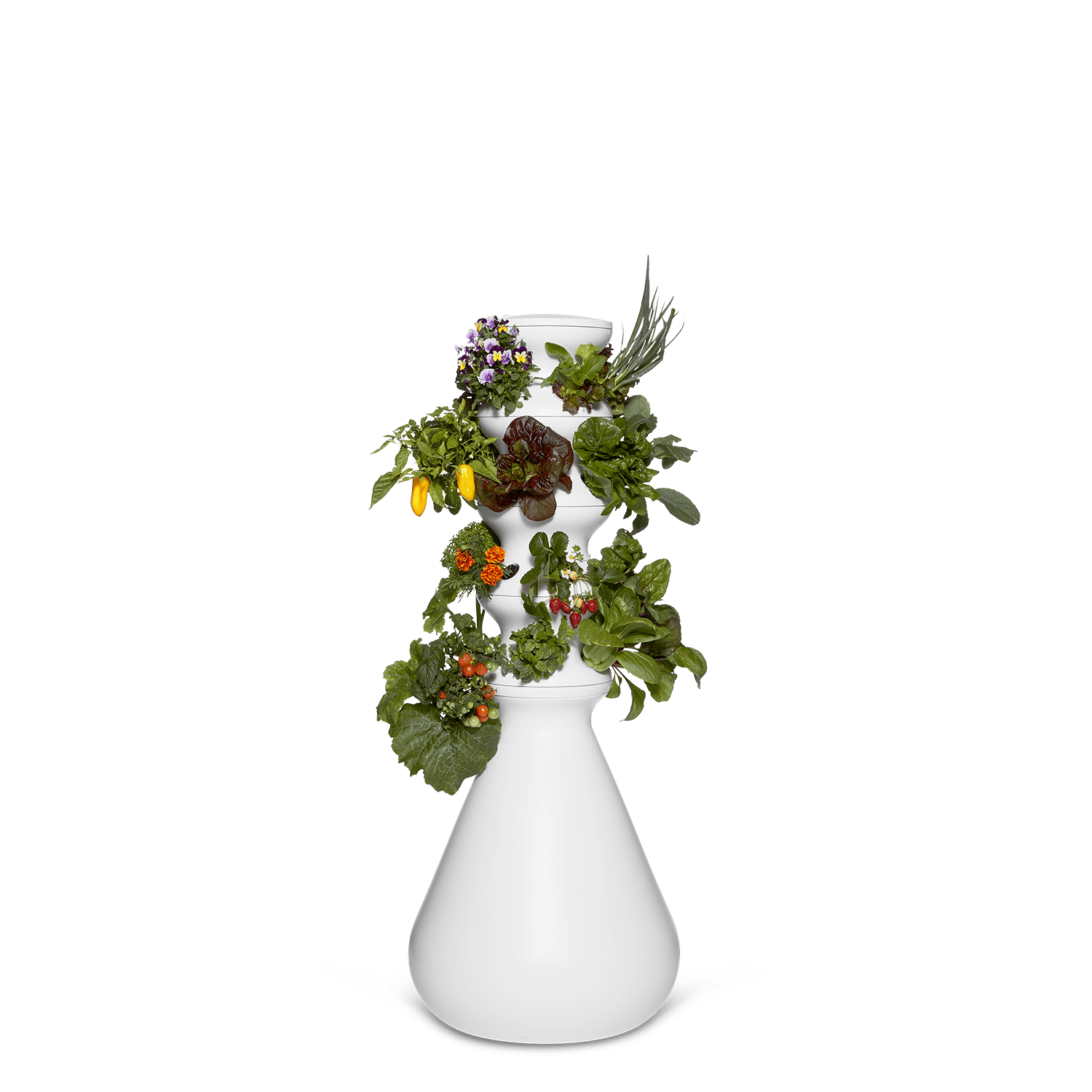 Original Farmstand - Lettuce Grow
