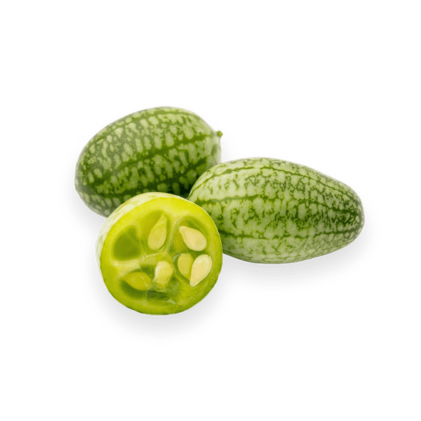 Mexican Sour Gherkin Cucamelons
