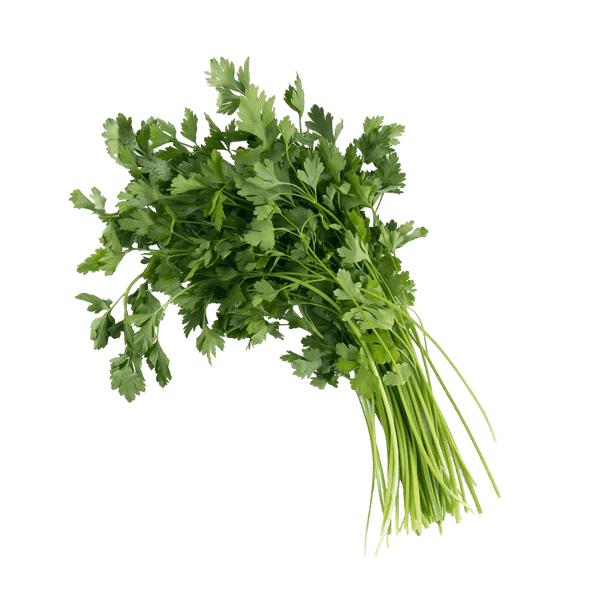 Italian Parsley (CST) - Lettuce Grow
