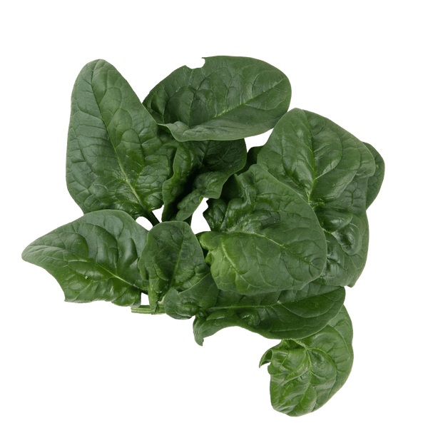 Spinach