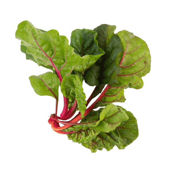 Rainbow Swiss Chard