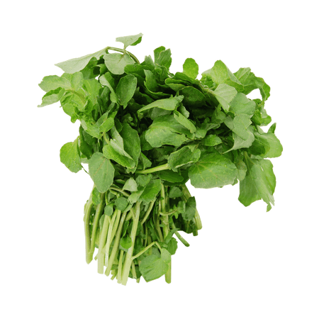 Watercress