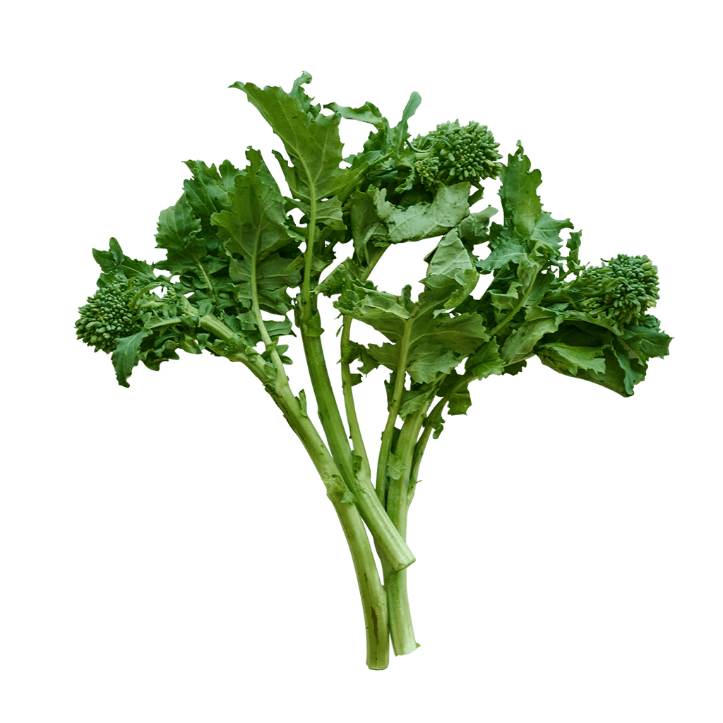 Broccoli Raab