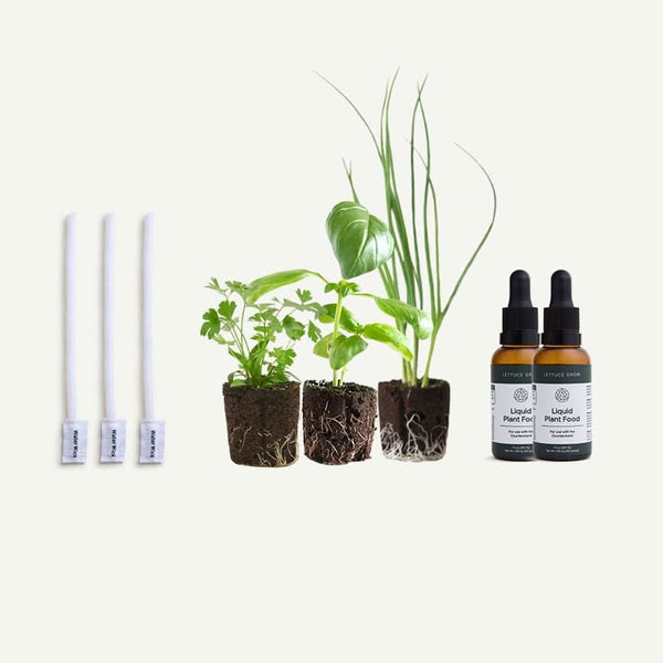 Counterstand Refill Kit - Lettuce Grow