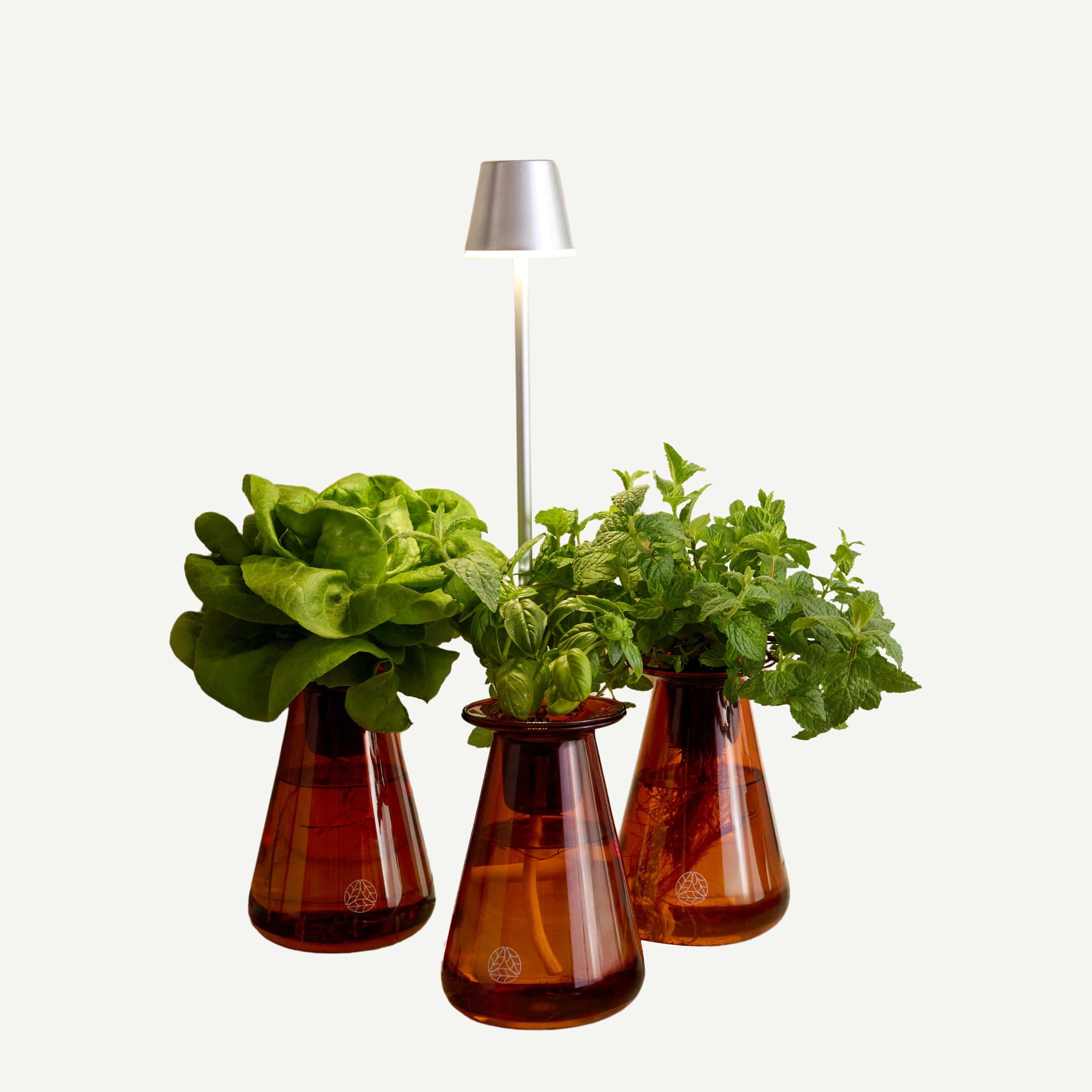 Counterstand Set