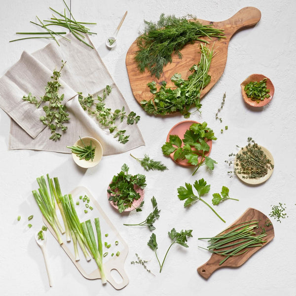 12-Plant Must-Have Herb Bundle