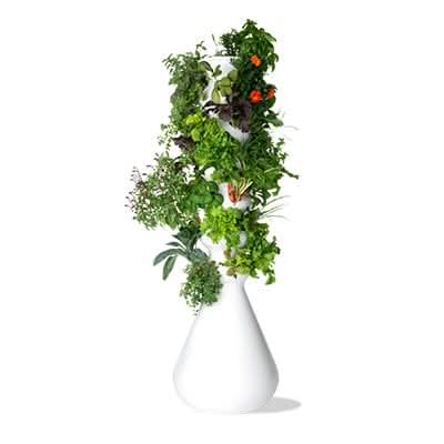 Indoor 36-Plant Farmstand (FBA) - Lettuce Grow