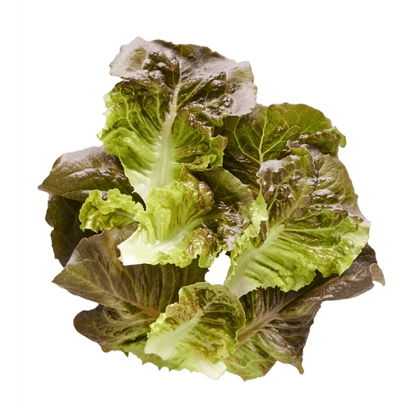 Pomegranate Crunch Romaine