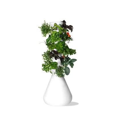 30-Plant Farmstand (FBA) - Lettuce Grow