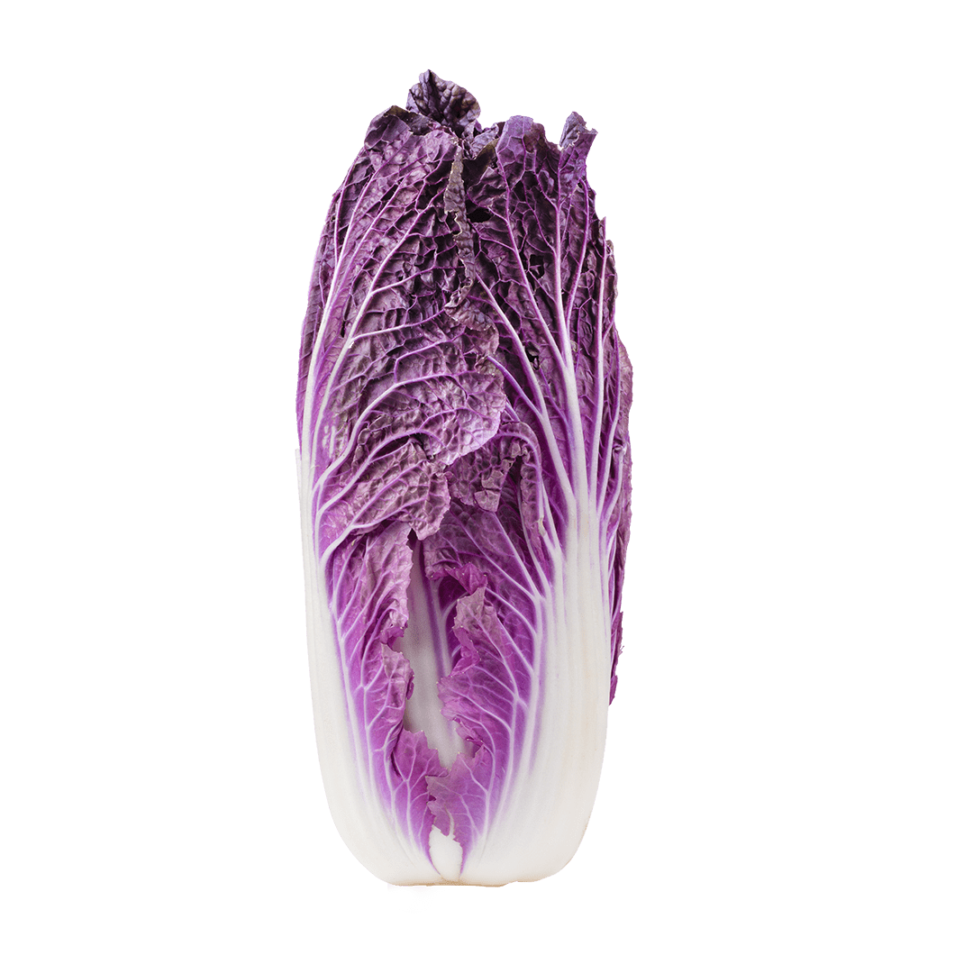 Merlot Napa Cabbage